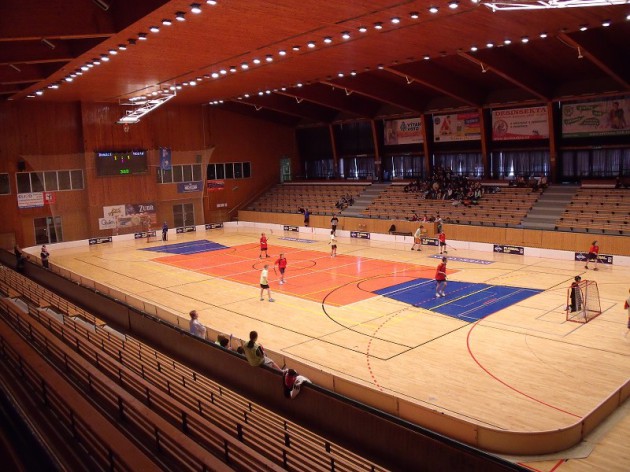 Městská sportovní hala Plzeň, Lokomotiva