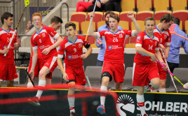 Čeští hráči zvládli druhý zápas na MS skvěle. Foto: IFF Flickr, Calle Ström.