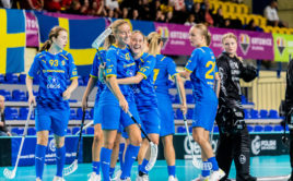 Češky podlehly Švédsku poměrem 3:4. Foto: IFF
