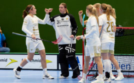 Finále Champions Cupu žen odehrají Thorengruppen a Pixbo. Foto: IFF