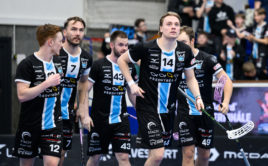 Mladá Boleslav vyhrála základní část Livesport Superligy. Foto: Florbal Mladá Boleslav