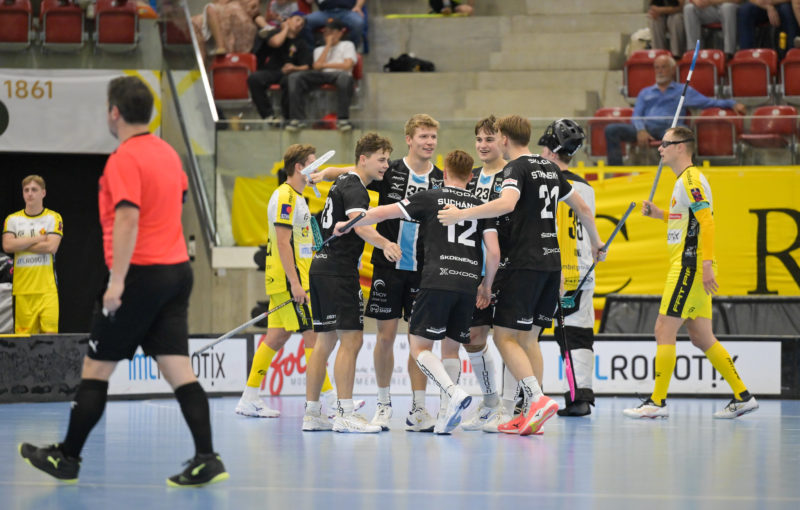 Boleslav veze ze Švýcarska tři body. Foto: IFF