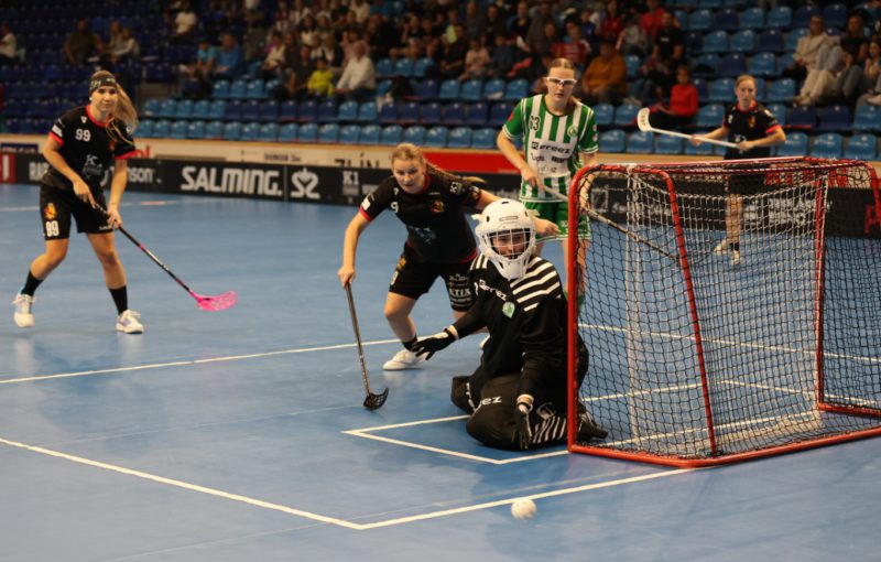 Židenice čeká důležité utkání s Libercem. Foto: Florbal Židenice